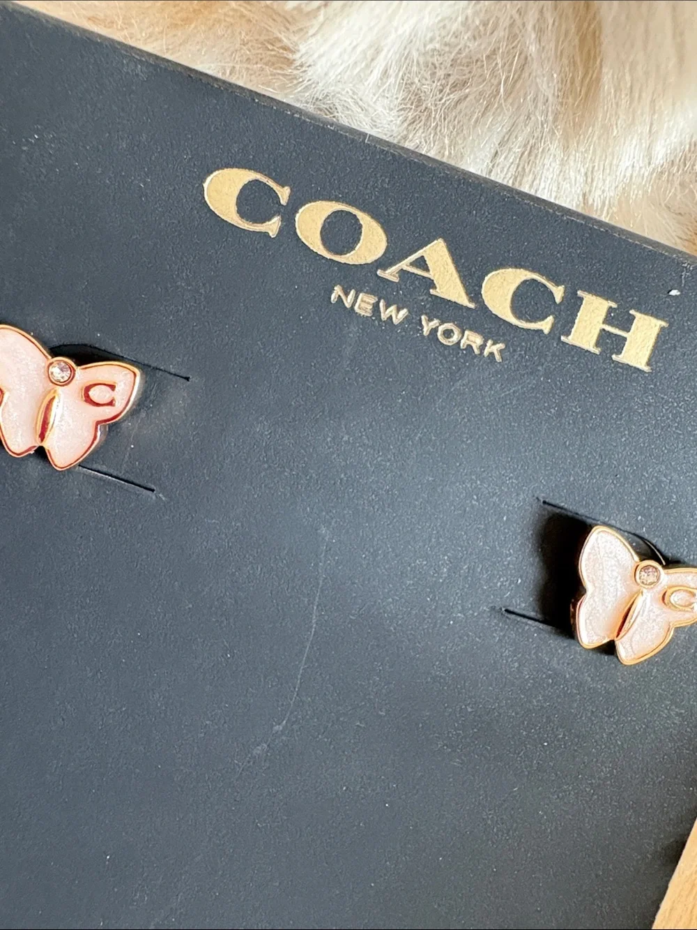 Coach Earrings - Picture 5 of 8